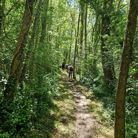 Mon En Ariege Avec Piscine Daumazan-sur-Arize
