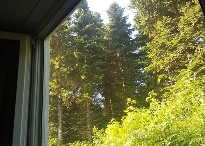 Mon En Ariege Avec Piscine בקתה Daumazan-sur-Arize