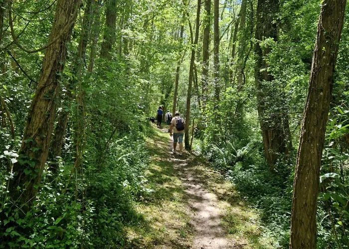 Mon En Ariege Avec Piscine Daumazan-sur-Arize